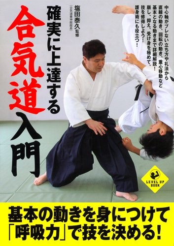 Aikido introductory level - level, up